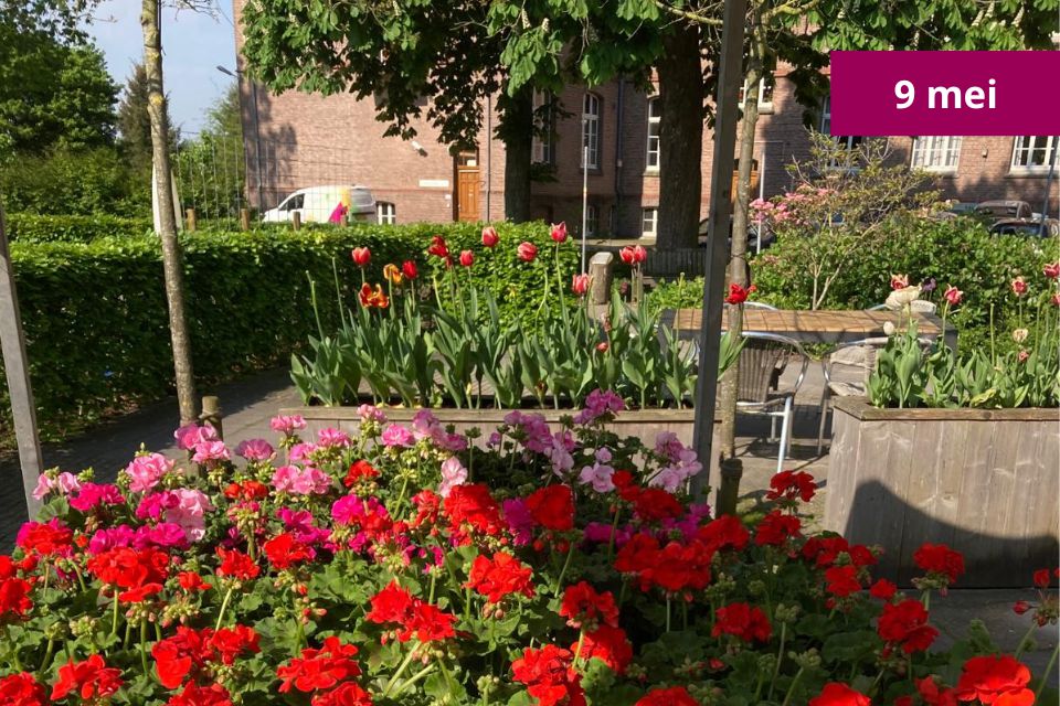 Jaarlijkse Geraniummarkt